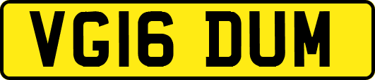 VG16DUM