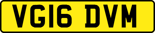 VG16DVM