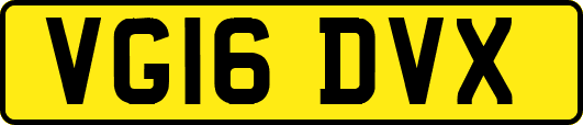 VG16DVX