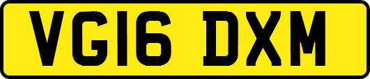 VG16DXM