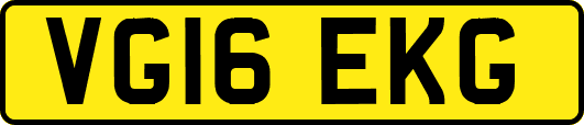 VG16EKG