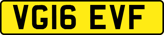 VG16EVF