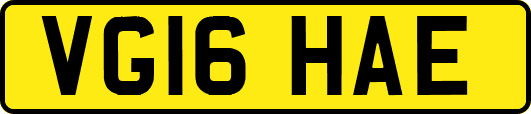 VG16HAE