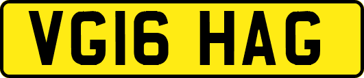 VG16HAG
