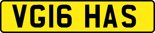 VG16HAS