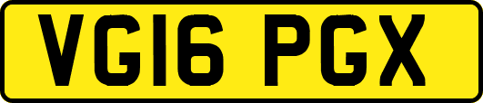 VG16PGX
