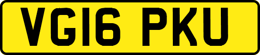 VG16PKU