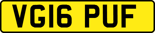 VG16PUF