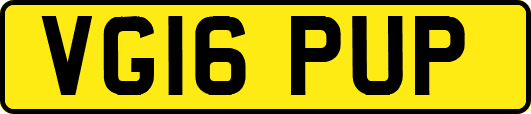 VG16PUP