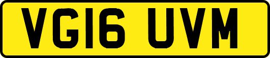 VG16UVM