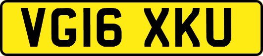 VG16XKU