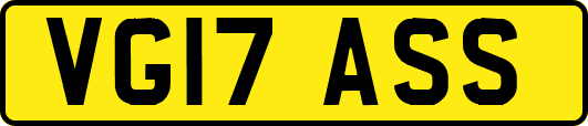 VG17ASS