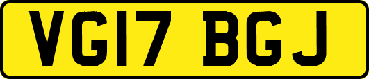 VG17BGJ