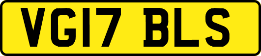 VG17BLS