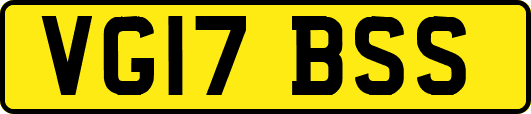 VG17BSS