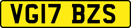 VG17BZS