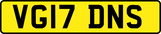 VG17DNS