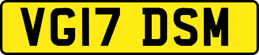 VG17DSM