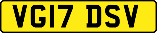 VG17DSV