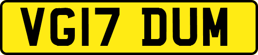 VG17DUM