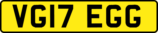 VG17EGG