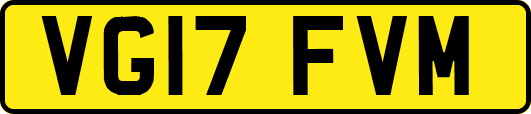 VG17FVM