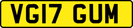 VG17GUM