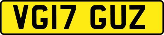 VG17GUZ