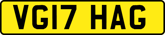 VG17HAG