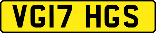 VG17HGS