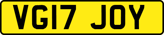 VG17JOY