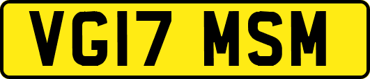 VG17MSM