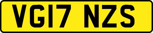 VG17NZS