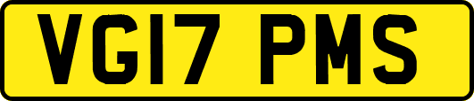 VG17PMS