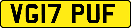 VG17PUF