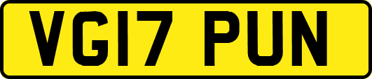 VG17PUN
