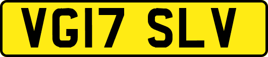 VG17SLV