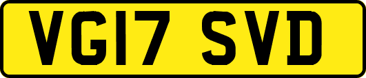 VG17SVD