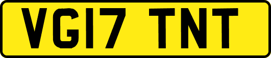 VG17TNT