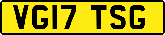 VG17TSG