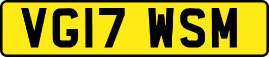 VG17WSM