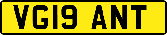 VG19ANT