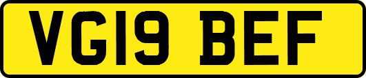 VG19BEF