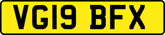 VG19BFX