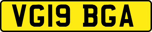 VG19BGA