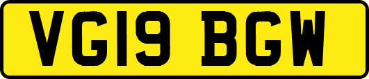 VG19BGW