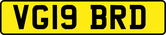 VG19BRD
