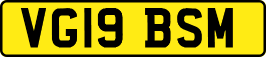 VG19BSM