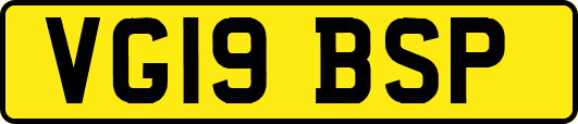 VG19BSP