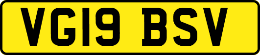 VG19BSV